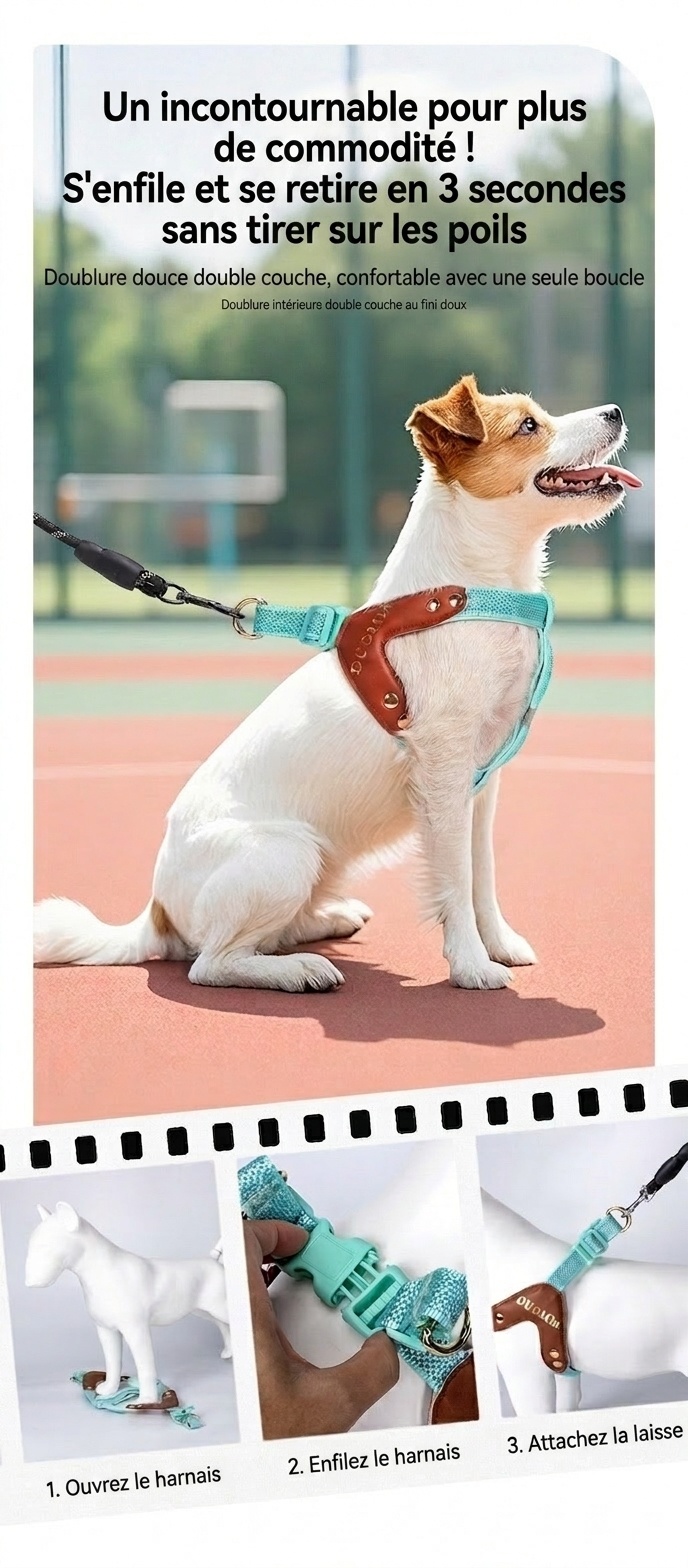 Harnais réfléchissant en forme de Y pour chien - Ajustable et confortable sans traction