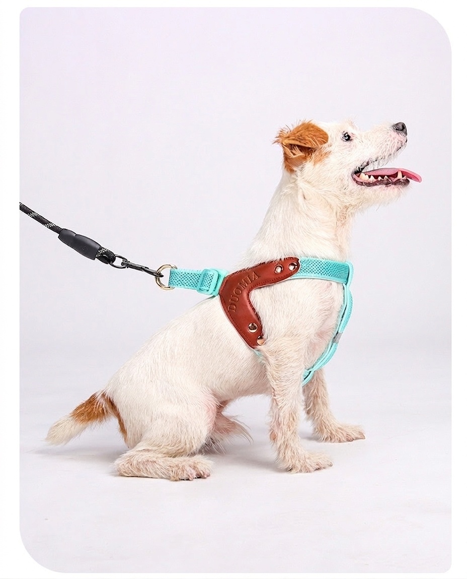 Reflective Y-Shape Dog Harness - Adjustable & No-Pull Comfort