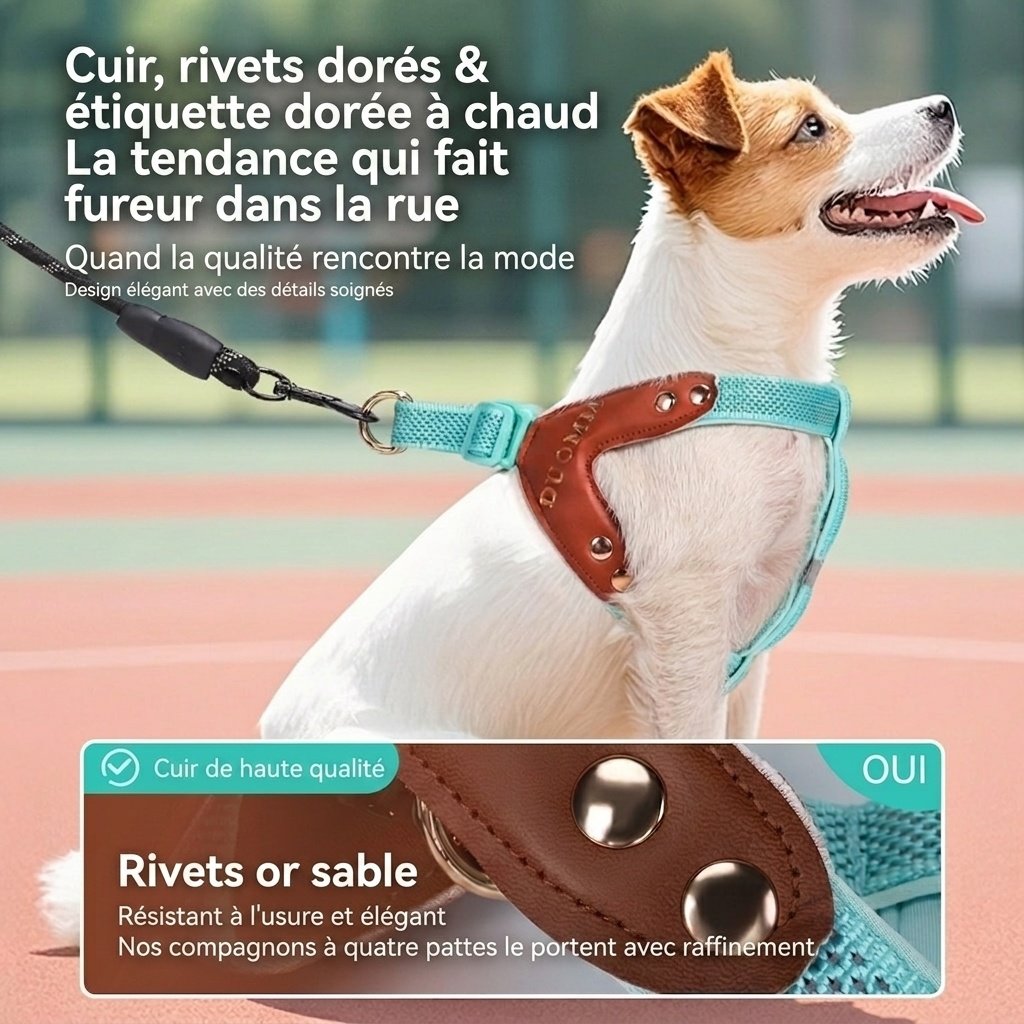 Harnais réfléchissant en forme de Y pour chien - Ajustable et confortable sans traction