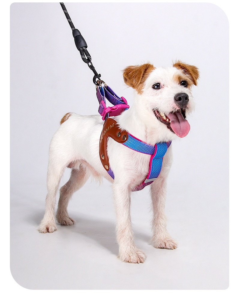 Reflective Y-Shape Dog Harness - Adjustable & No-Pull Comfort