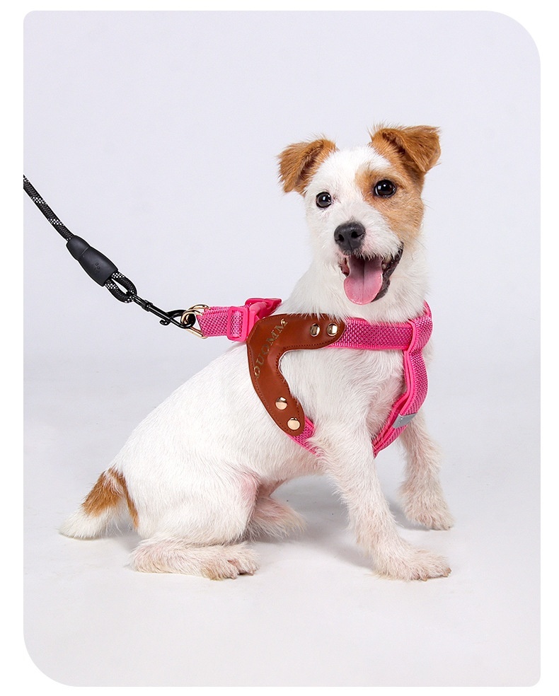Reflective Y-Shape Dog Harness - Adjustable & No-Pull Comfort
