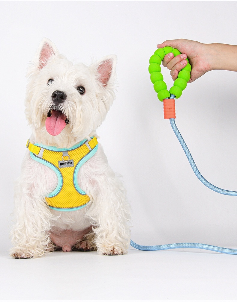 Comfort Grip Pet Leash - Durable Nylon Rope for Dogs & Cats