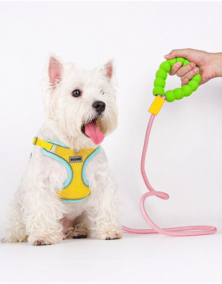 Comfort Grip Pet Leash - Durable Nylon Rope for Dogs & Cats