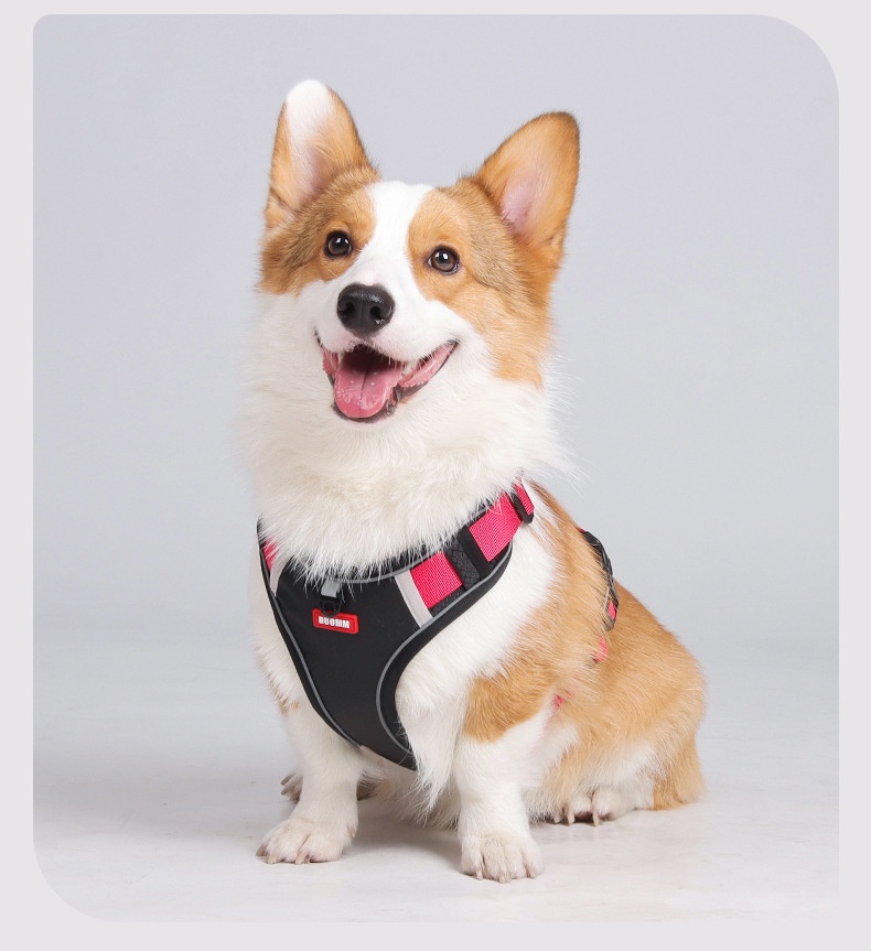 No-Pull Reflective Dog Harness with AirTag Pocket & Handle