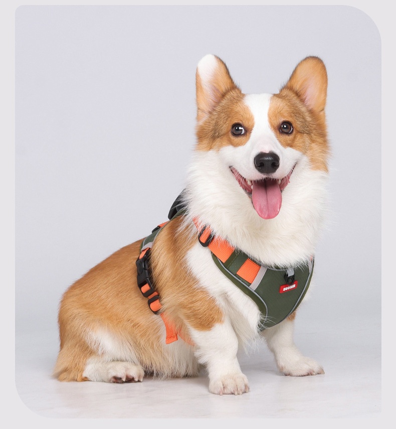 No-Pull Reflective Dog Harness with AirTag Pocket & Handle