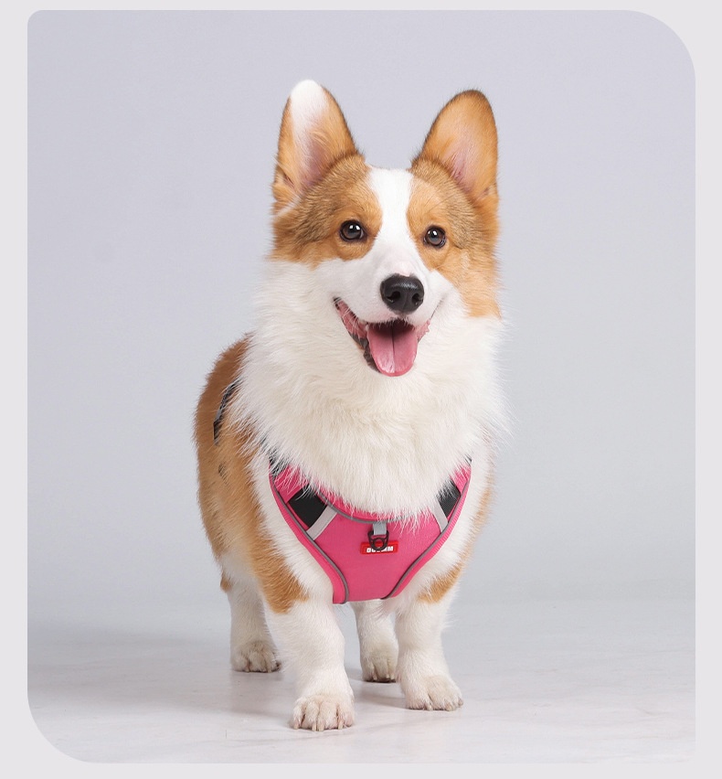 No-Pull Reflective Dog Harness with AirTag Pocket & Handle