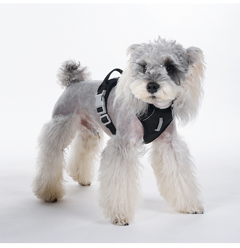 No-Pull Reflective Dog Harness Vest - Adjustable & Comfortable