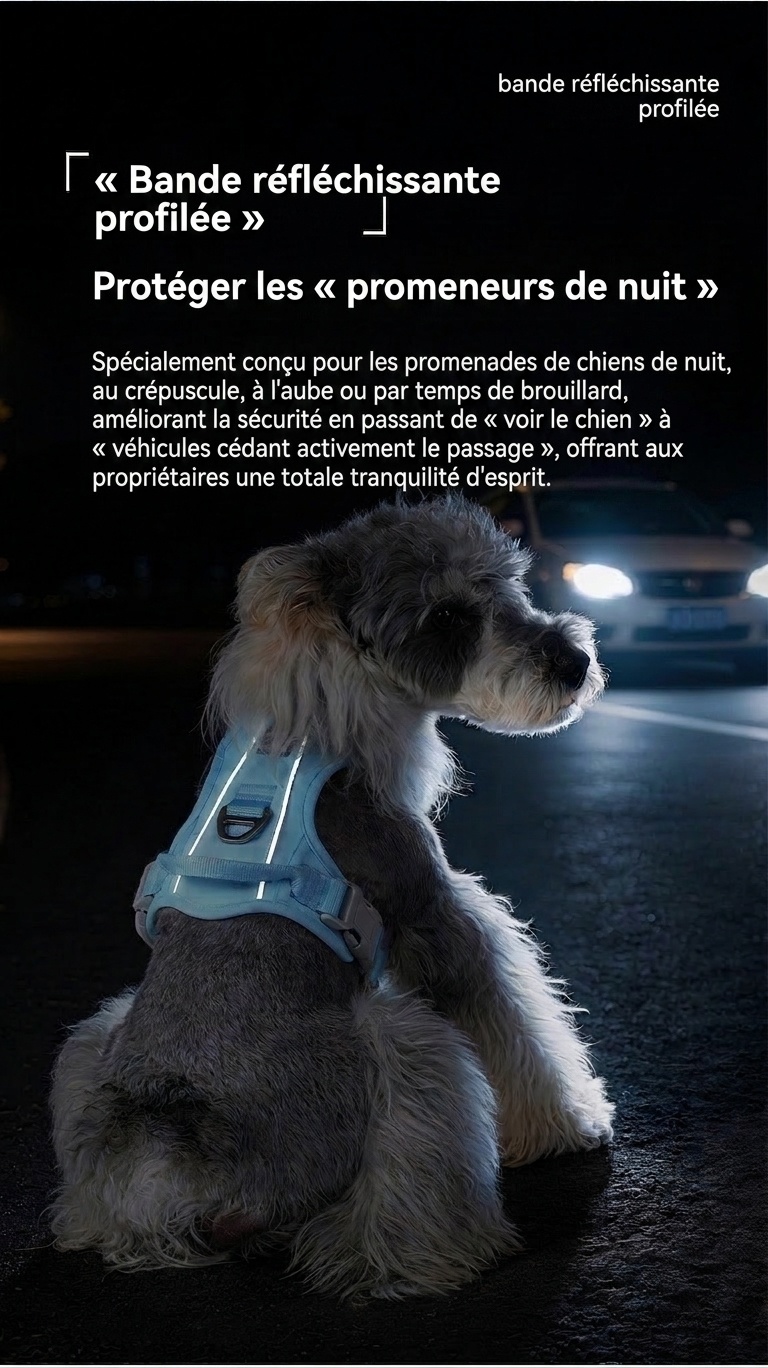 Harnais réfléchissant anti-traction pour chien - Réglable et confortable