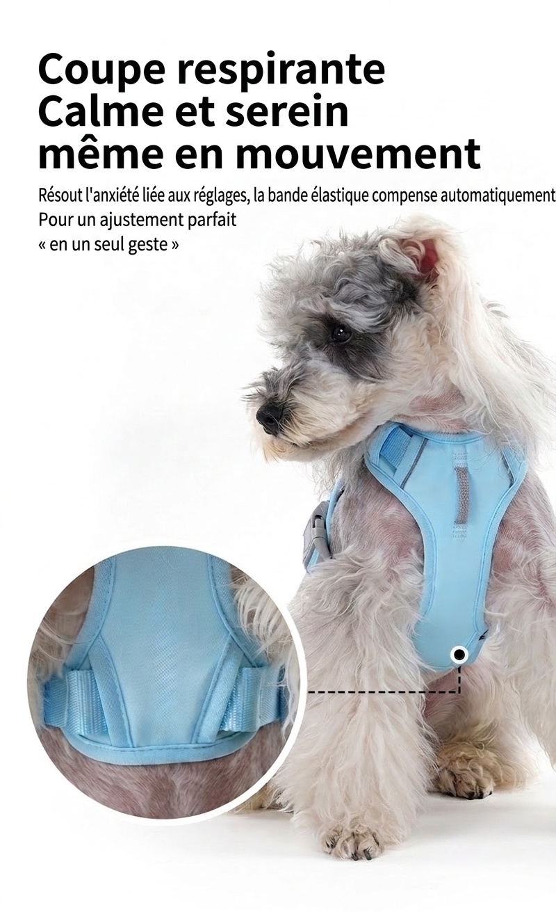 Harnais réfléchissant anti-traction pour chien - Réglable et confortable