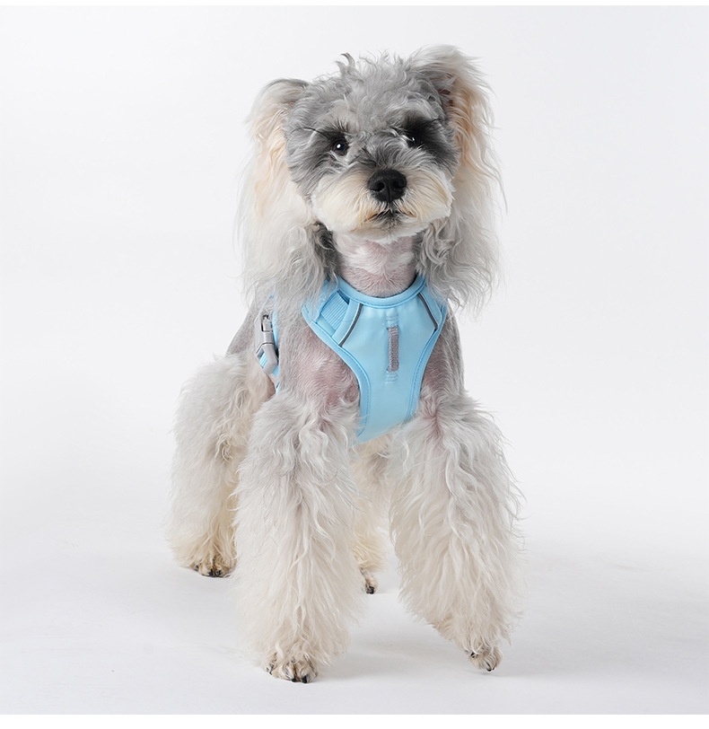 No-Pull Reflective Dog Harness Vest - Adjustable & Comfortable