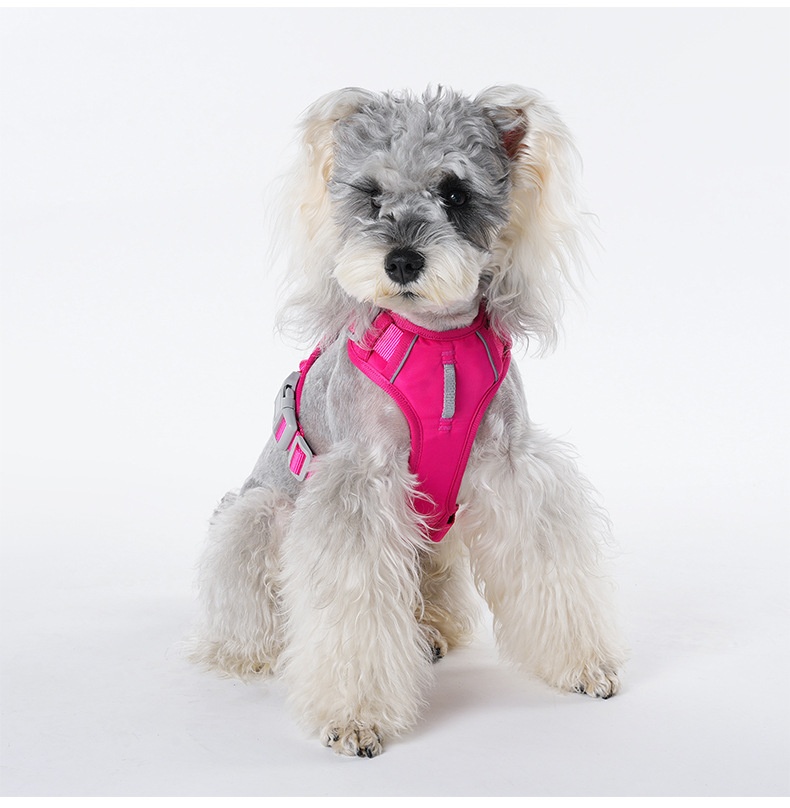 No-Pull Reflective Dog Harness Vest - Adjustable & Comfortable