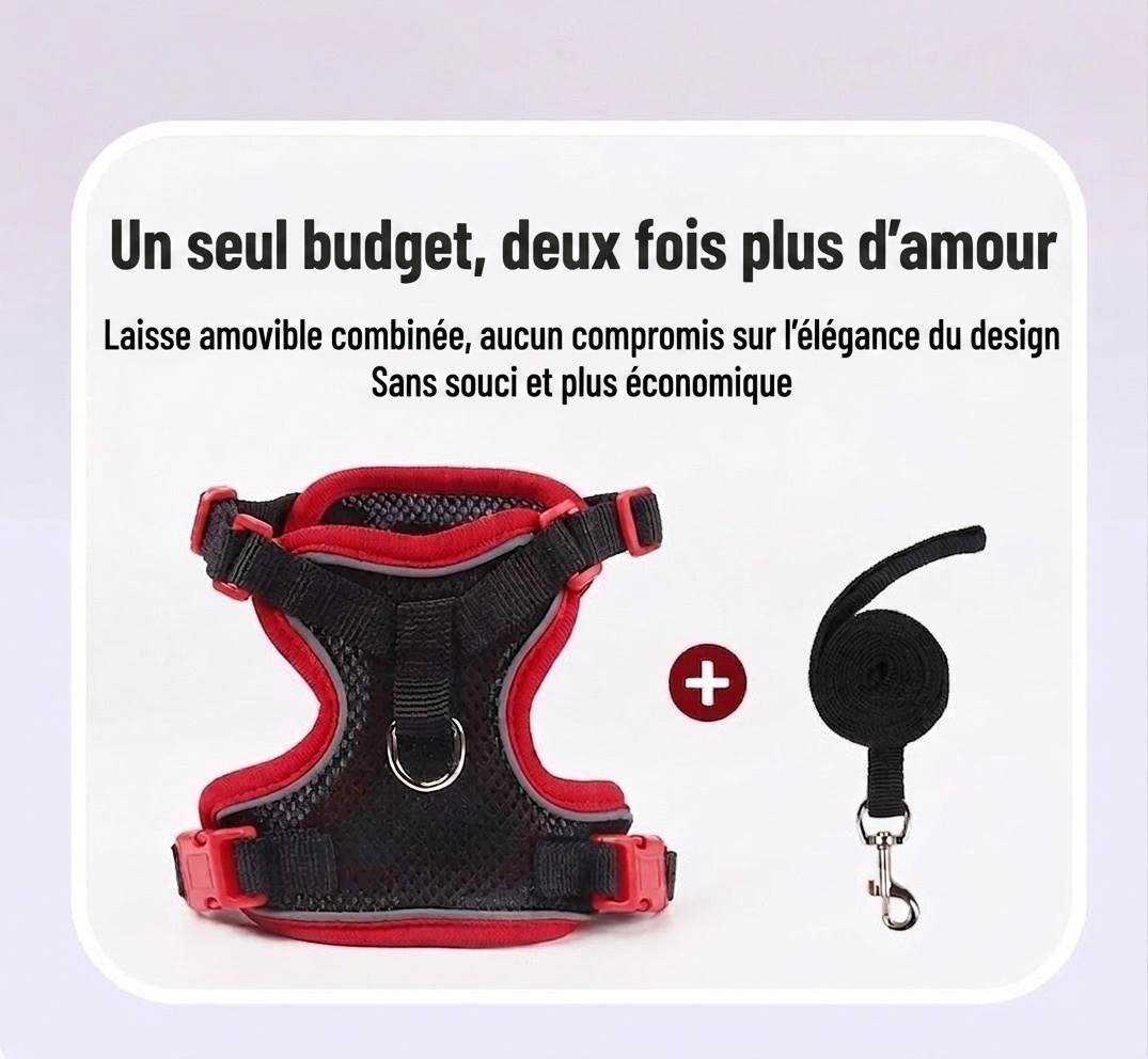 Breathable Mesh Pet Harness & Leash Set for Dogs & Cats