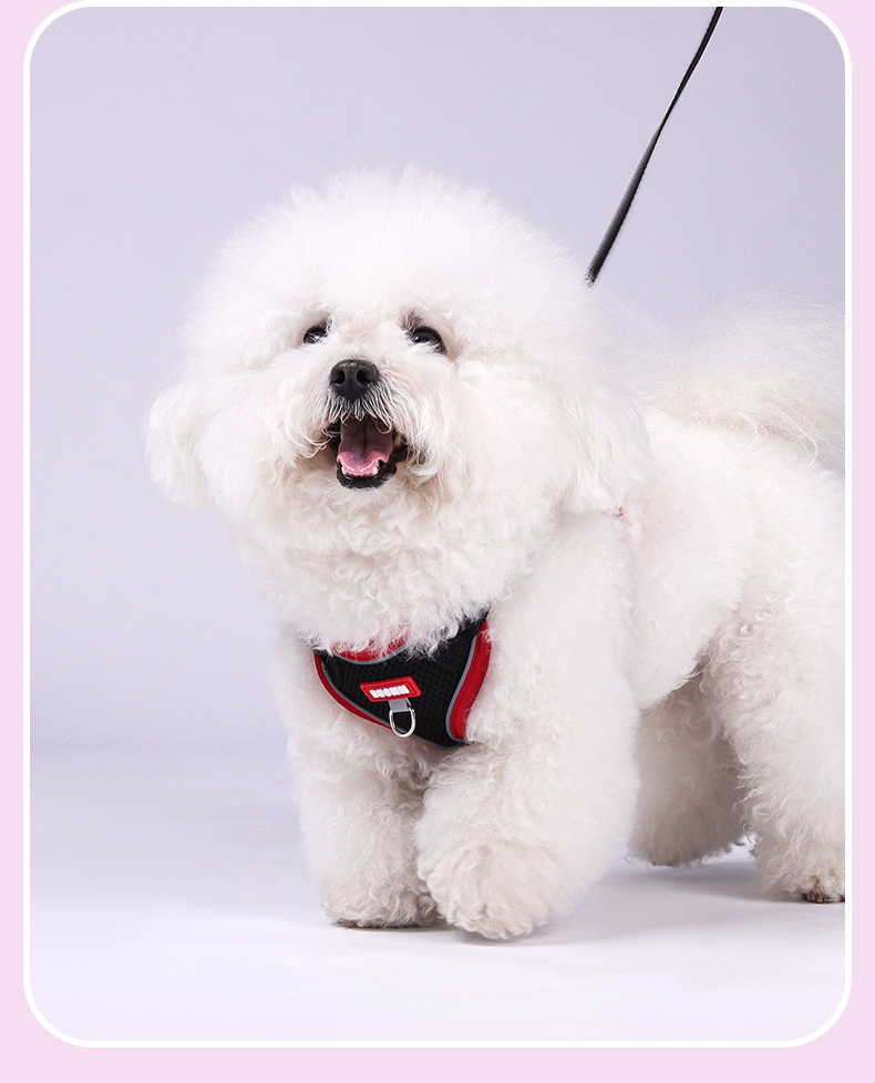 Breathable Mesh Pet Harness & Leash Set for Dogs & Cats