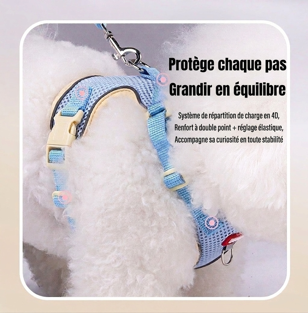 Breathable Mesh Pet Harness & Leash Set for Dogs & Cats