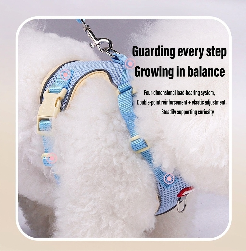 Breathable Mesh Pet Harness & Leash Set for Dogs & Cats