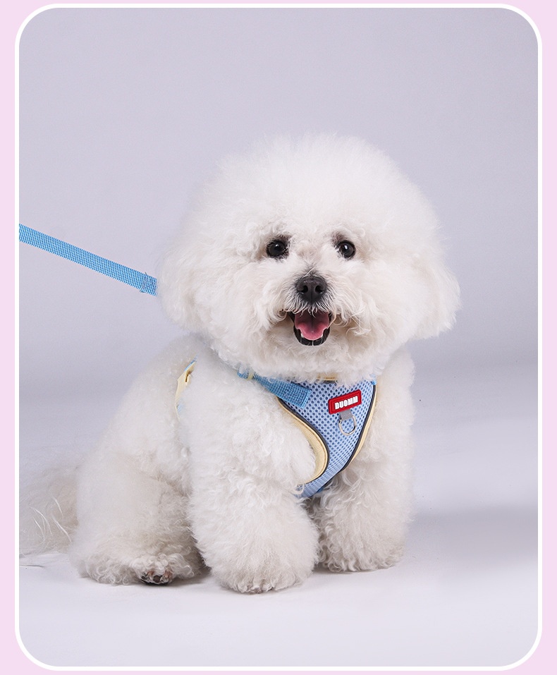Breathable Mesh Pet Harness & Leash Set for Dogs & Cats