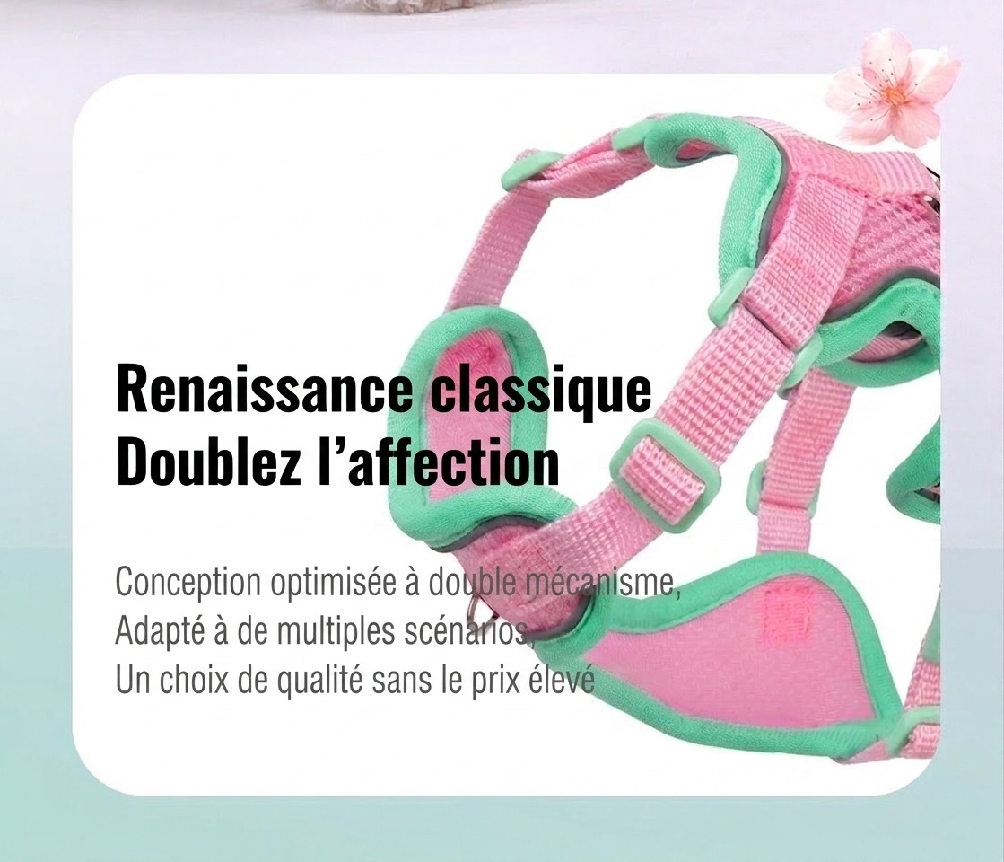 Breathable Mesh Pet Harness & Leash Set for Dogs & Cats