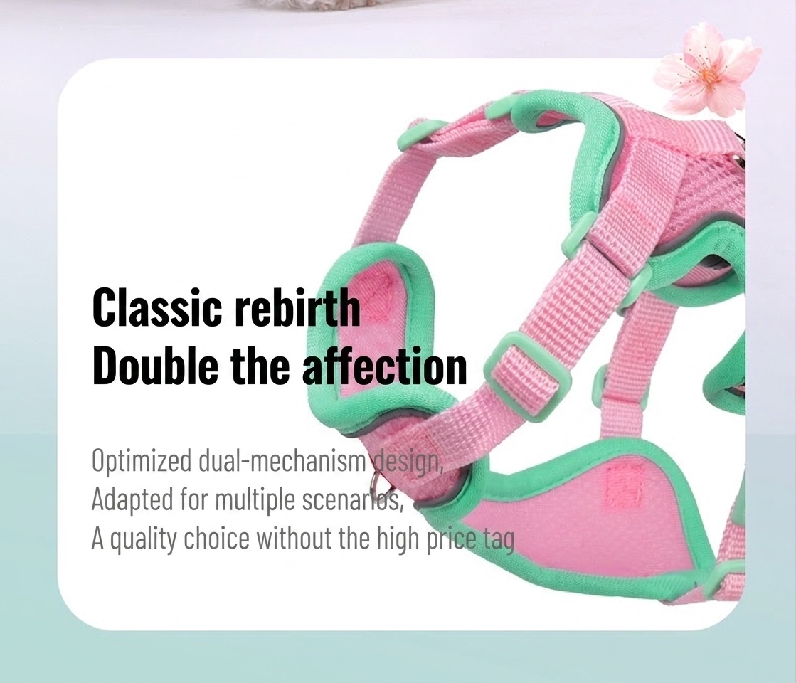 Breathable Mesh Pet Harness & Leash Set for Dogs & Cats