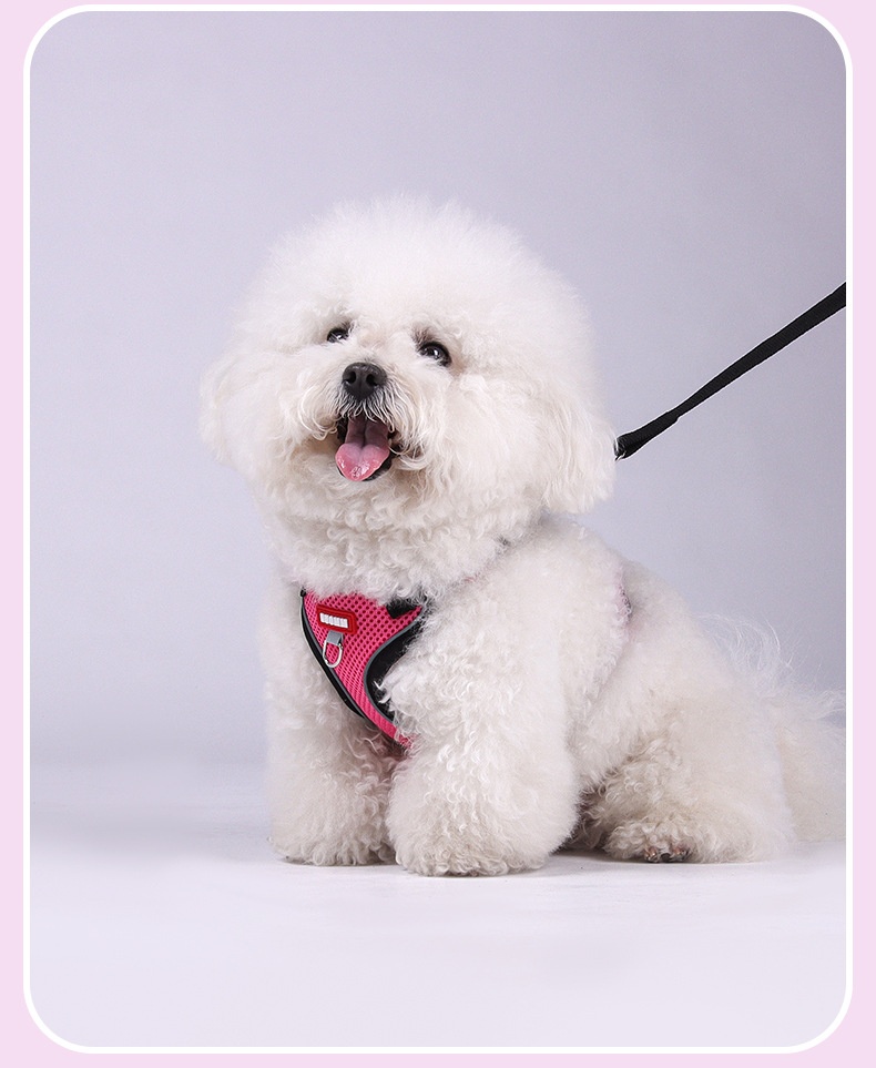 Breathable Mesh Pet Harness & Leash Set for Dogs & Cats