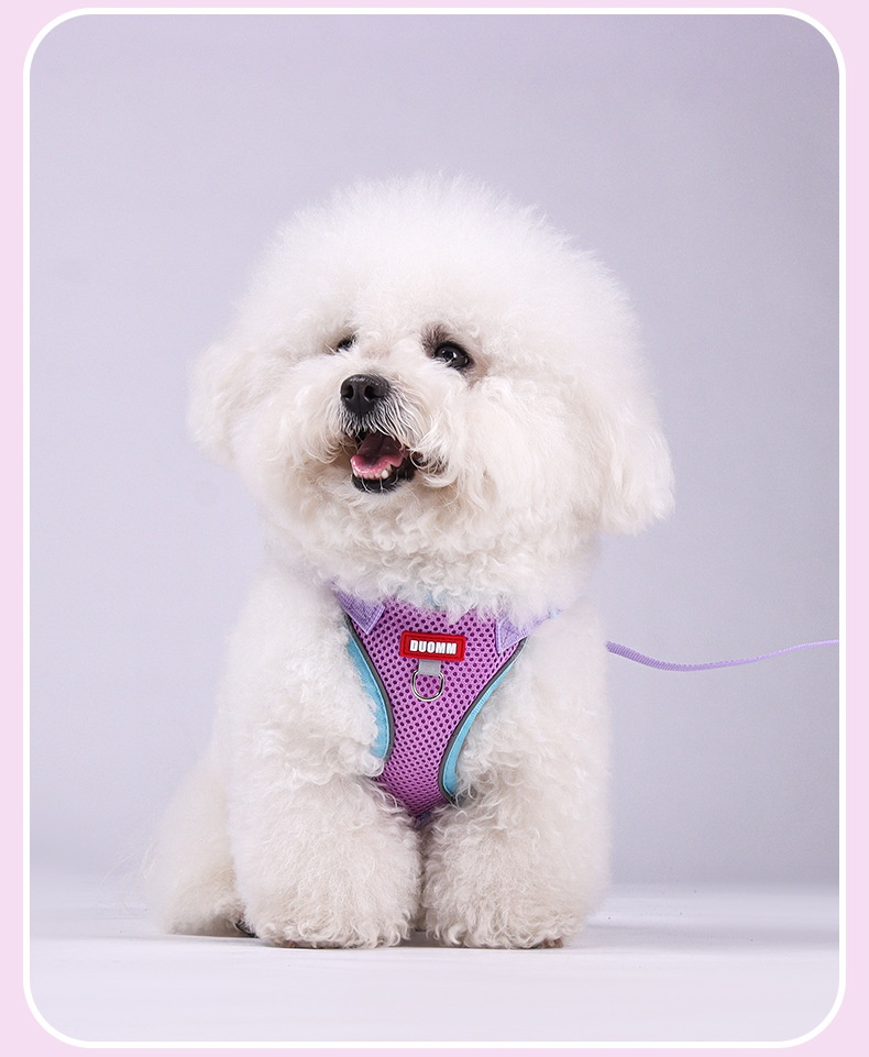 Breathable Mesh Pet Harness & Leash Set for Dogs & Cats