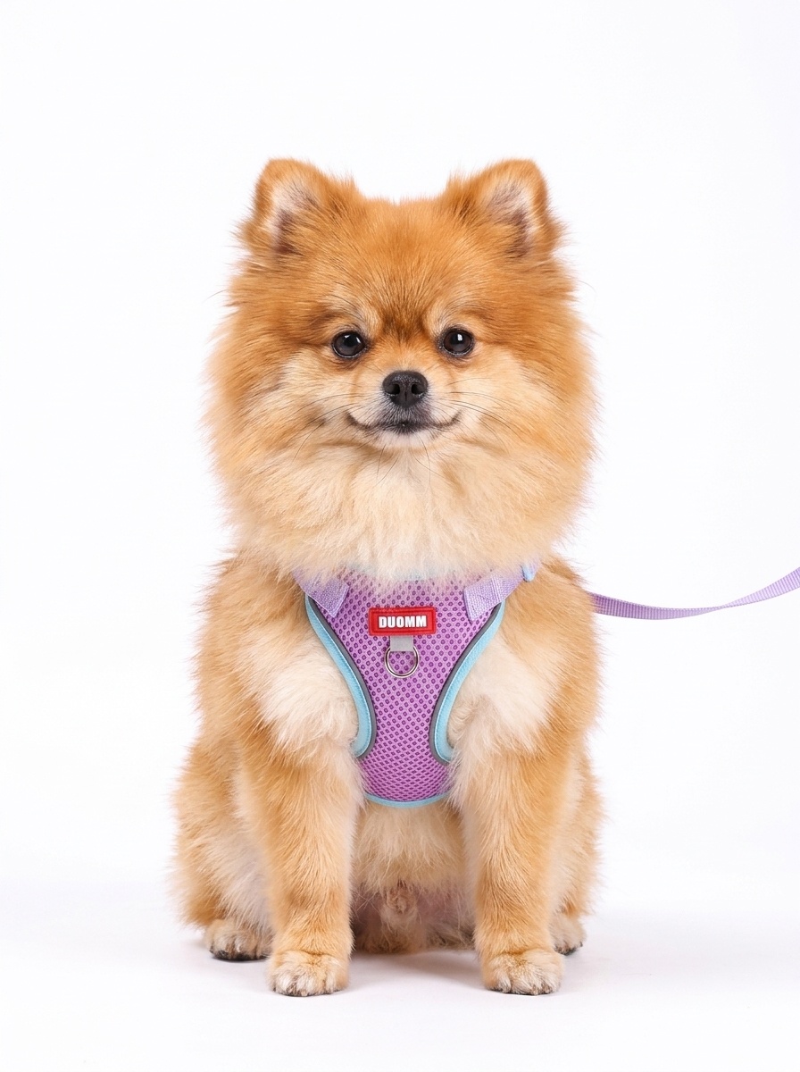 Breathable Mesh Pet Harness & Leash Set for Dogs & Cats