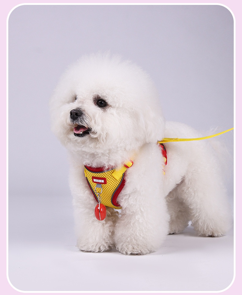 Breathable Mesh Pet Harness & Leash Set for Dogs & Cats