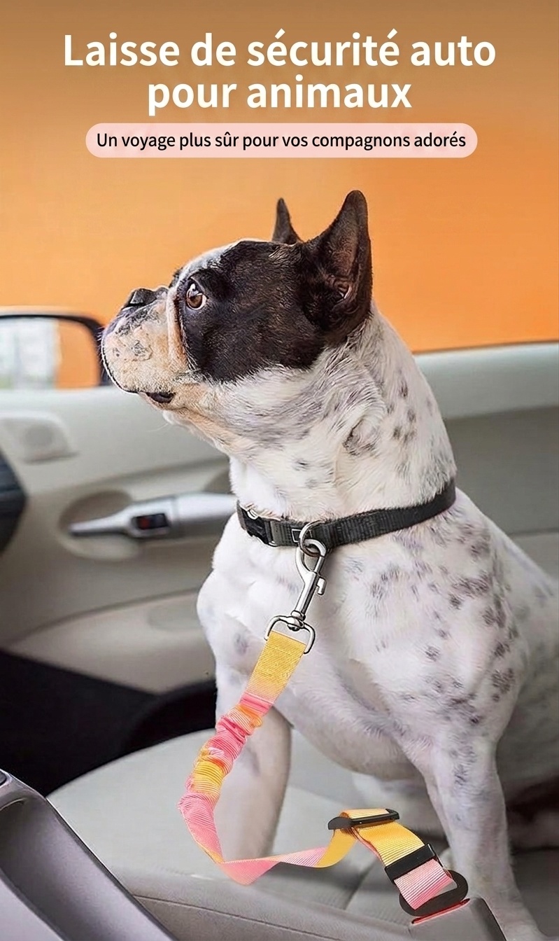Pet Car Seat Belt Leash - Adjustable & Elastic Safety Strap