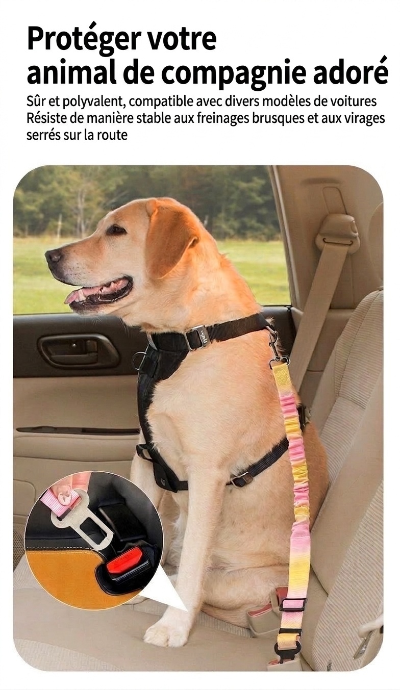 Pet Car Seat Belt Leash - Adjustable & Elastic Safety Strap