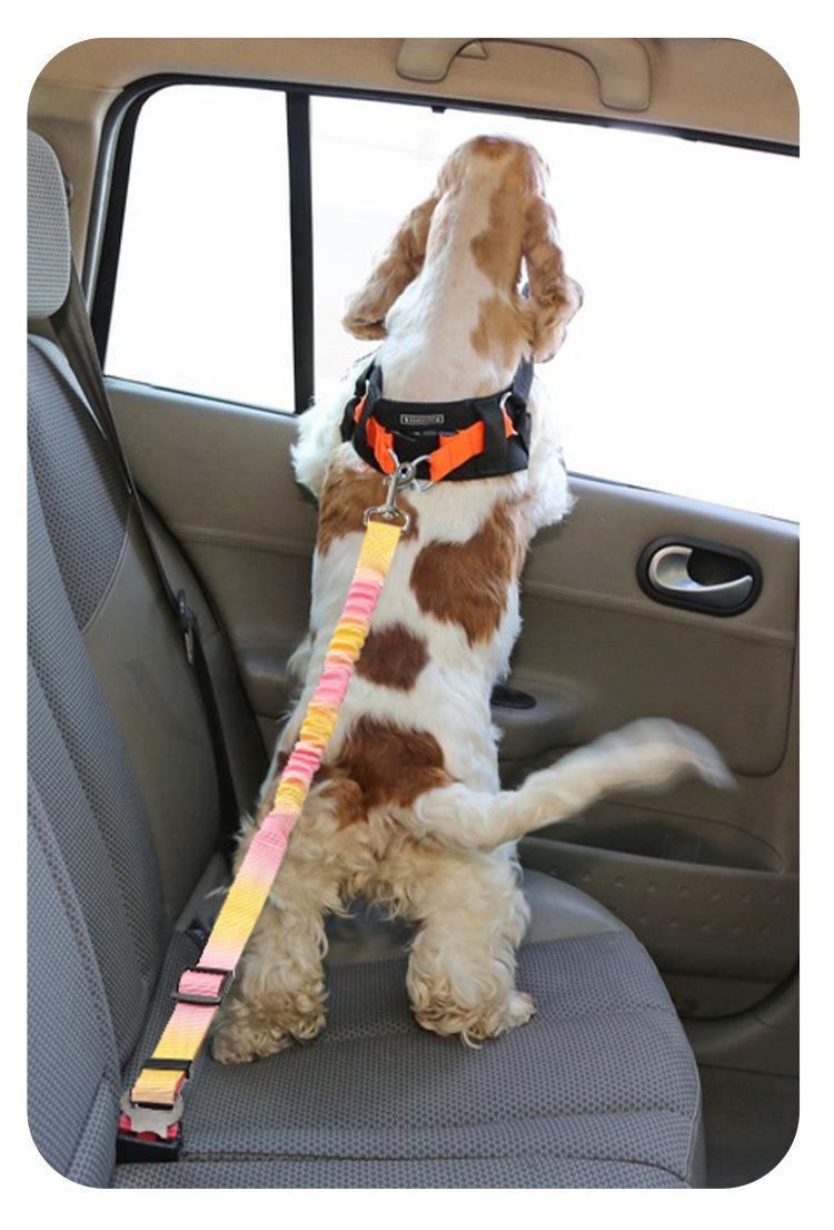 Pet Car Seat Belt Leash - Adjustable & Elastic Safety Strap