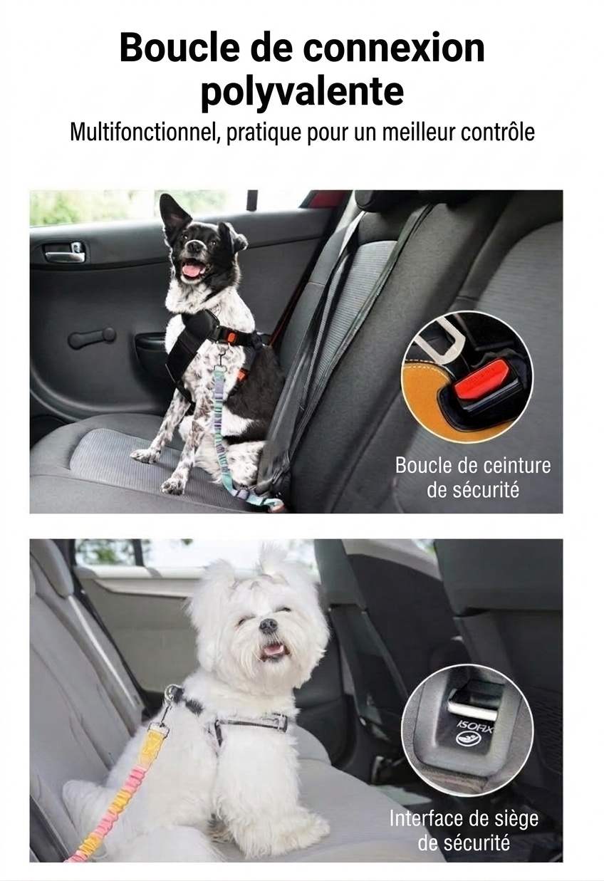 Pet Car Seat Belt Leash - Adjustable & Elastic Safety Strap