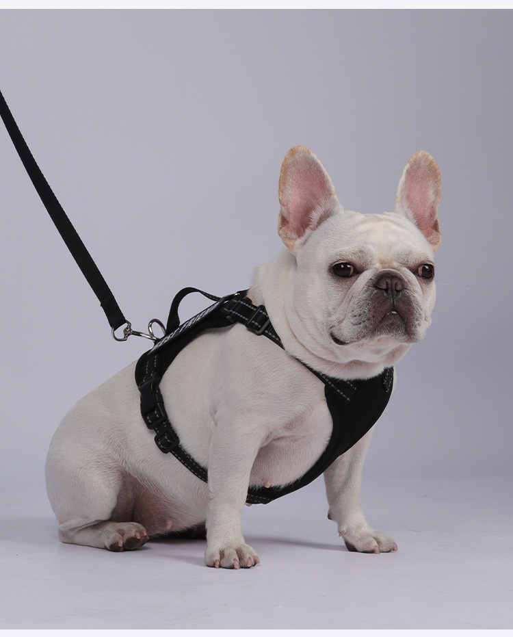 Lightweight Reflective Dog Harness & Leash Set - Breathable Mesh
