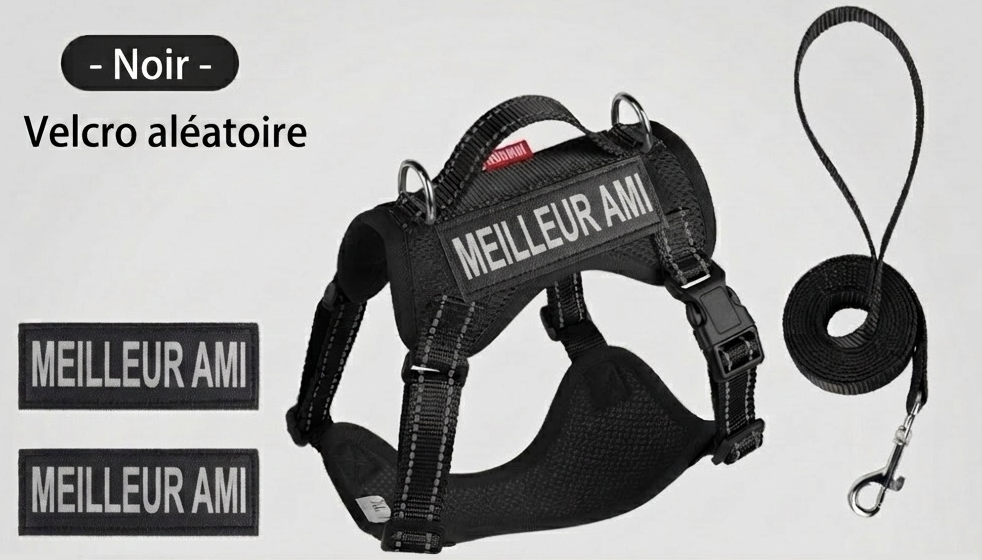 Lightweight Reflective Dog Harness & Leash Set - Breathable Mesh