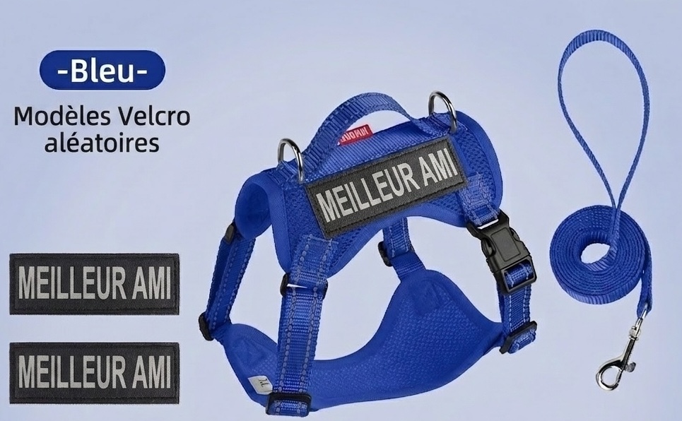 Lightweight Reflective Dog Harness & Leash Set - Breathable Mesh