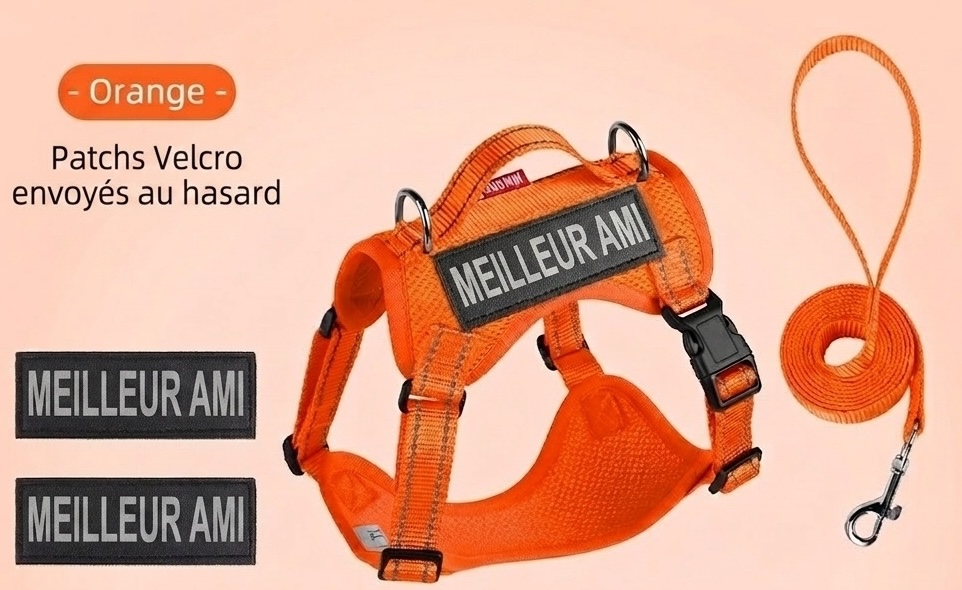 Lightweight Reflective Dog Harness & Leash Set - Breathable Mesh