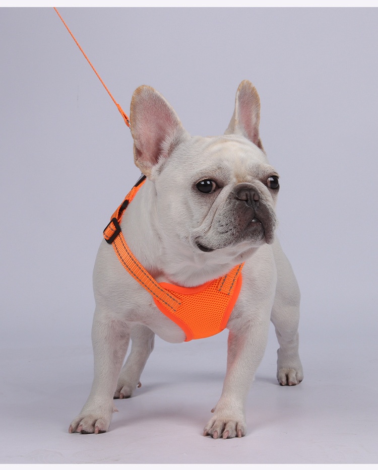 Lightweight Reflective Dog Harness & Leash Set - Breathable Mesh