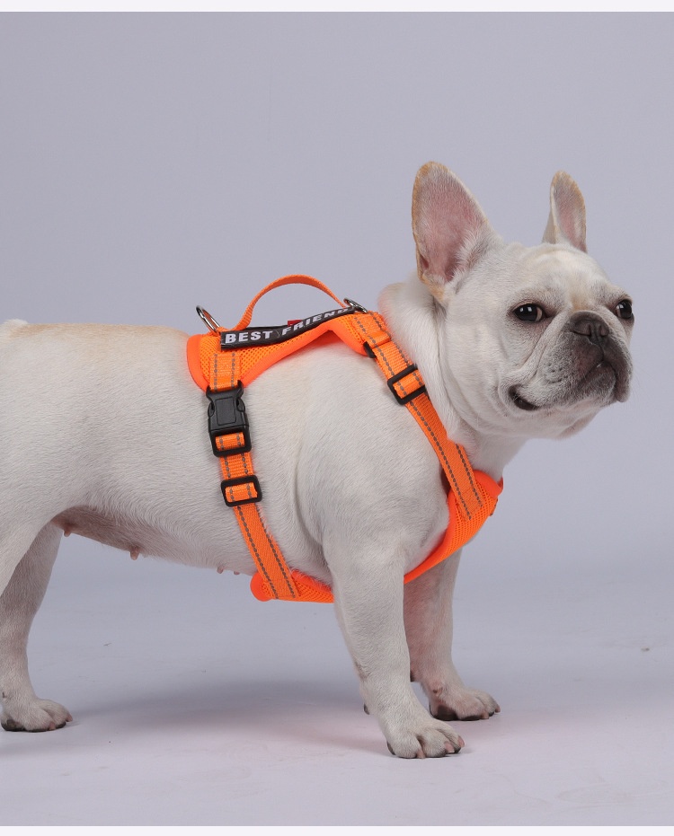Lightweight Reflective Dog Harness & Leash Set - Breathable Mesh