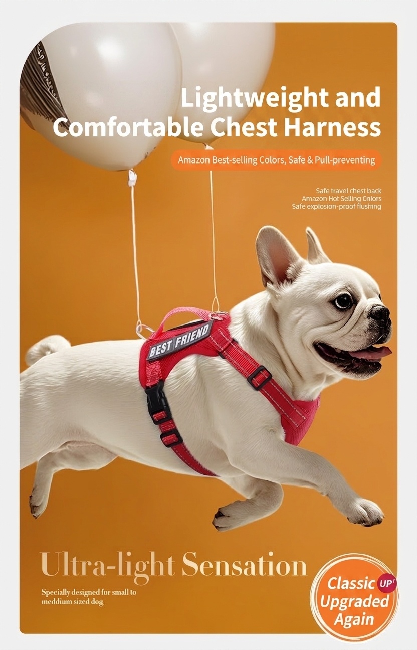Lightweight Reflective Dog Harness & Leash Set - Breathable Mesh