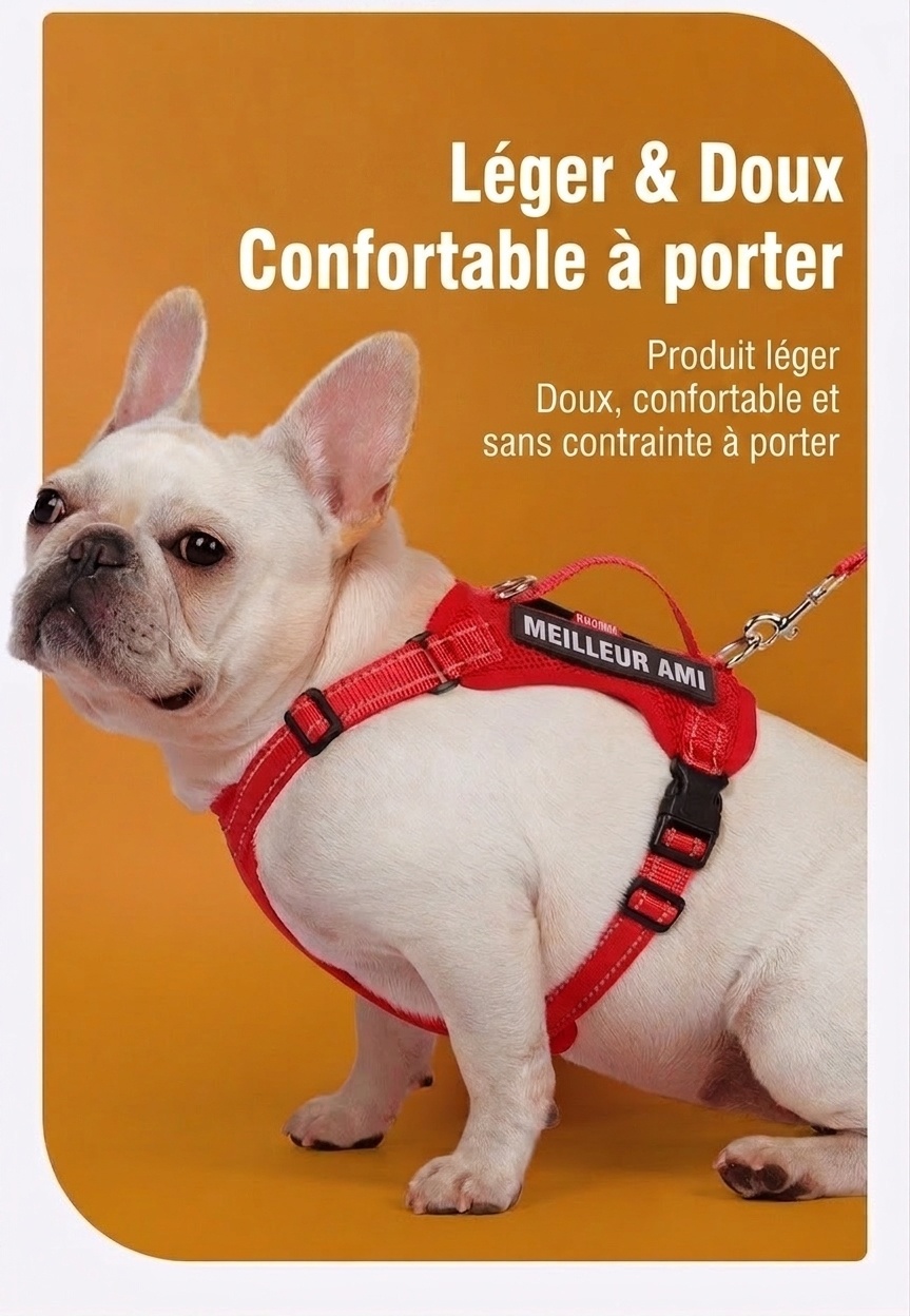 Lightweight Reflective Dog Harness & Leash Set - Breathable Mesh