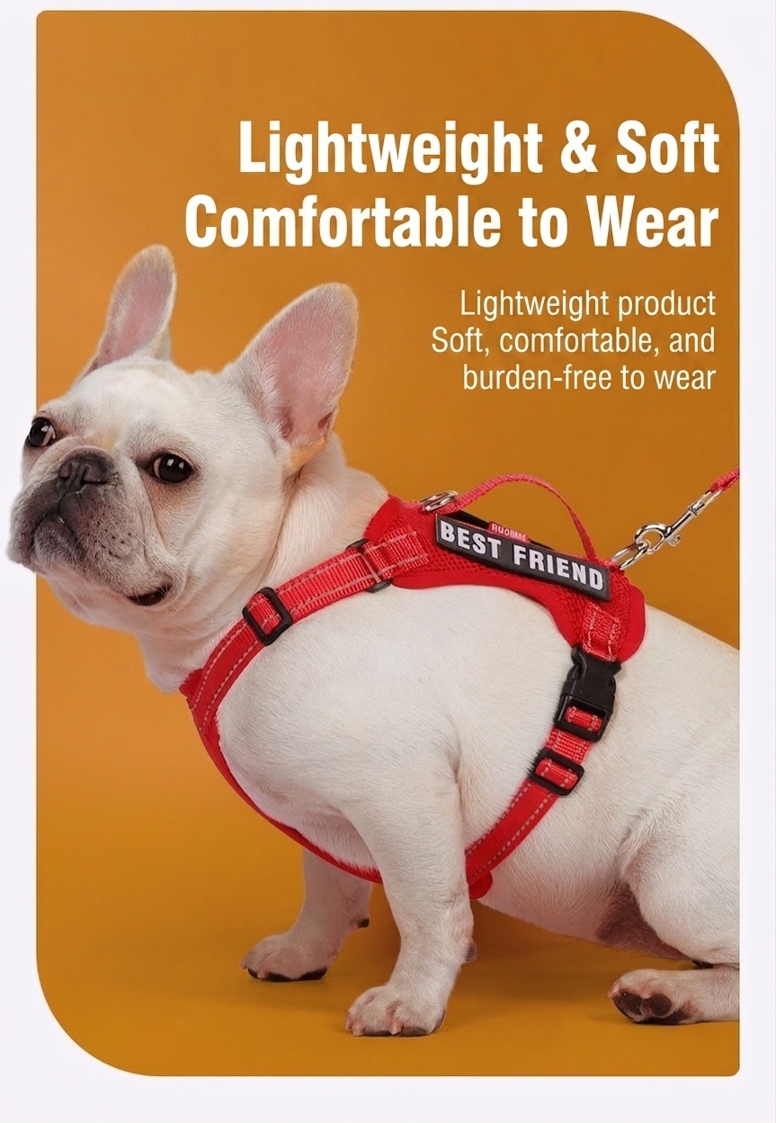 Lightweight Reflective Dog Harness & Leash Set - Breathable Mesh