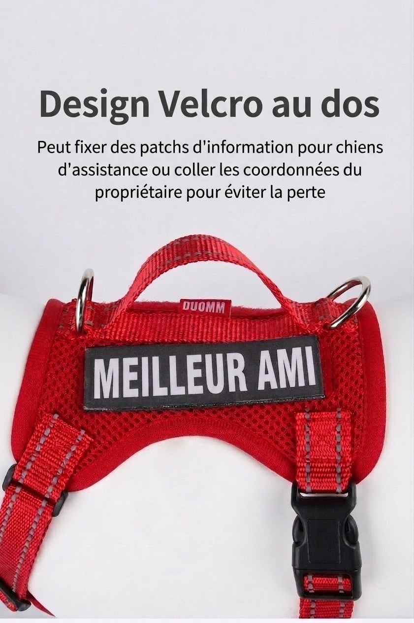 Lightweight Reflective Dog Harness & Leash Set - Breathable Mesh
