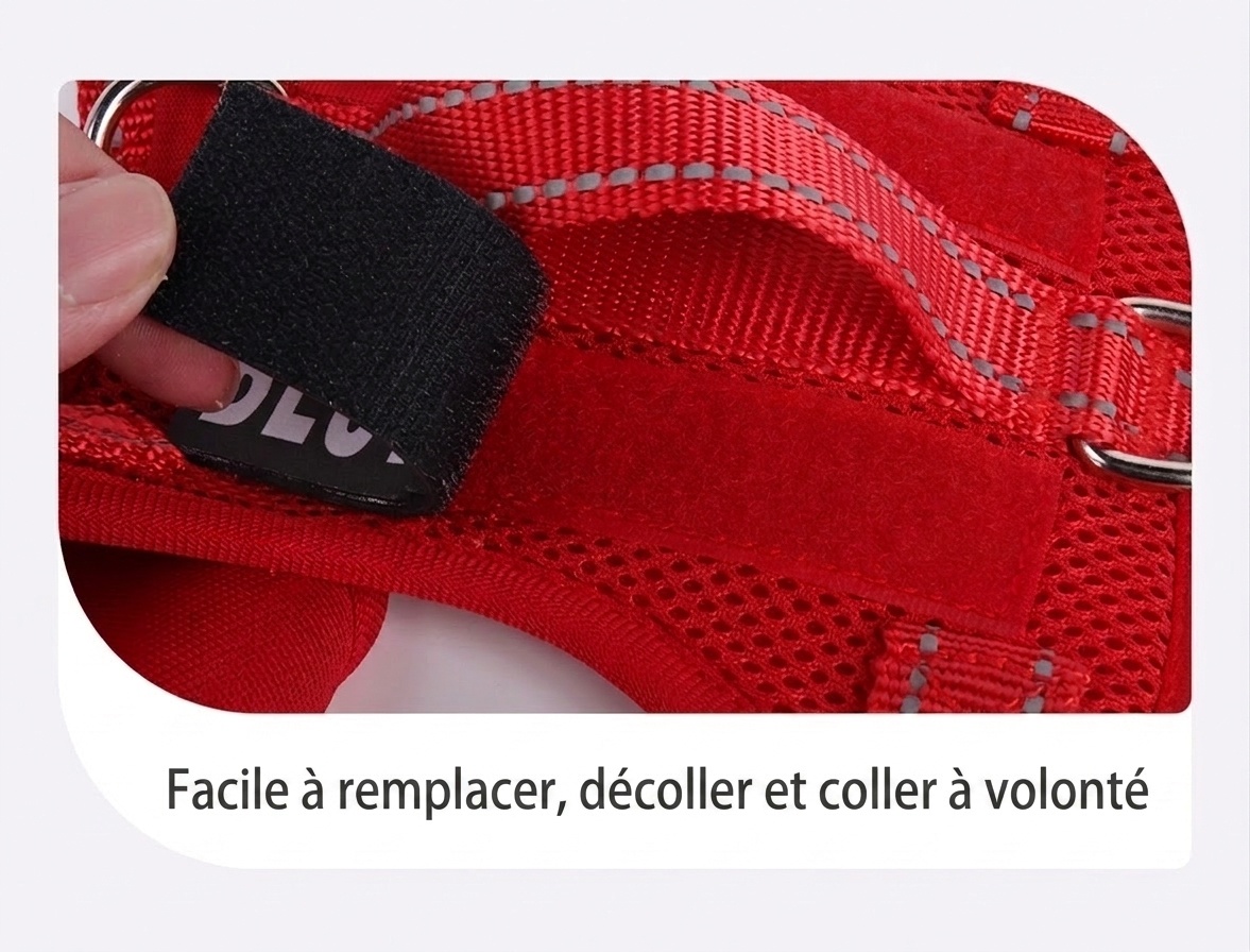Lightweight Reflective Dog Harness & Leash Set - Breathable Mesh
