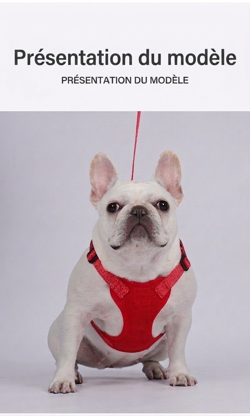 Lightweight Reflective Dog Harness & Leash Set - Breathable Mesh