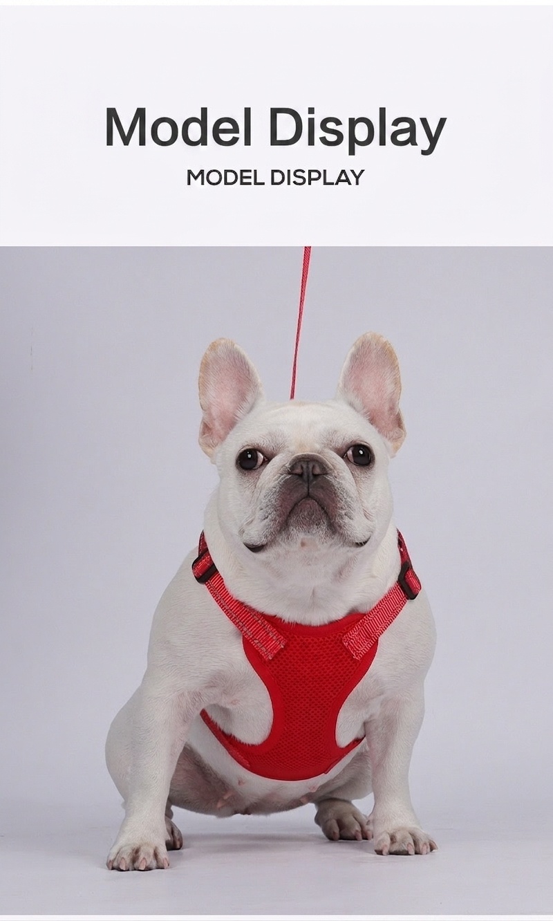 Lightweight Reflective Dog Harness & Leash Set - Breathable Mesh