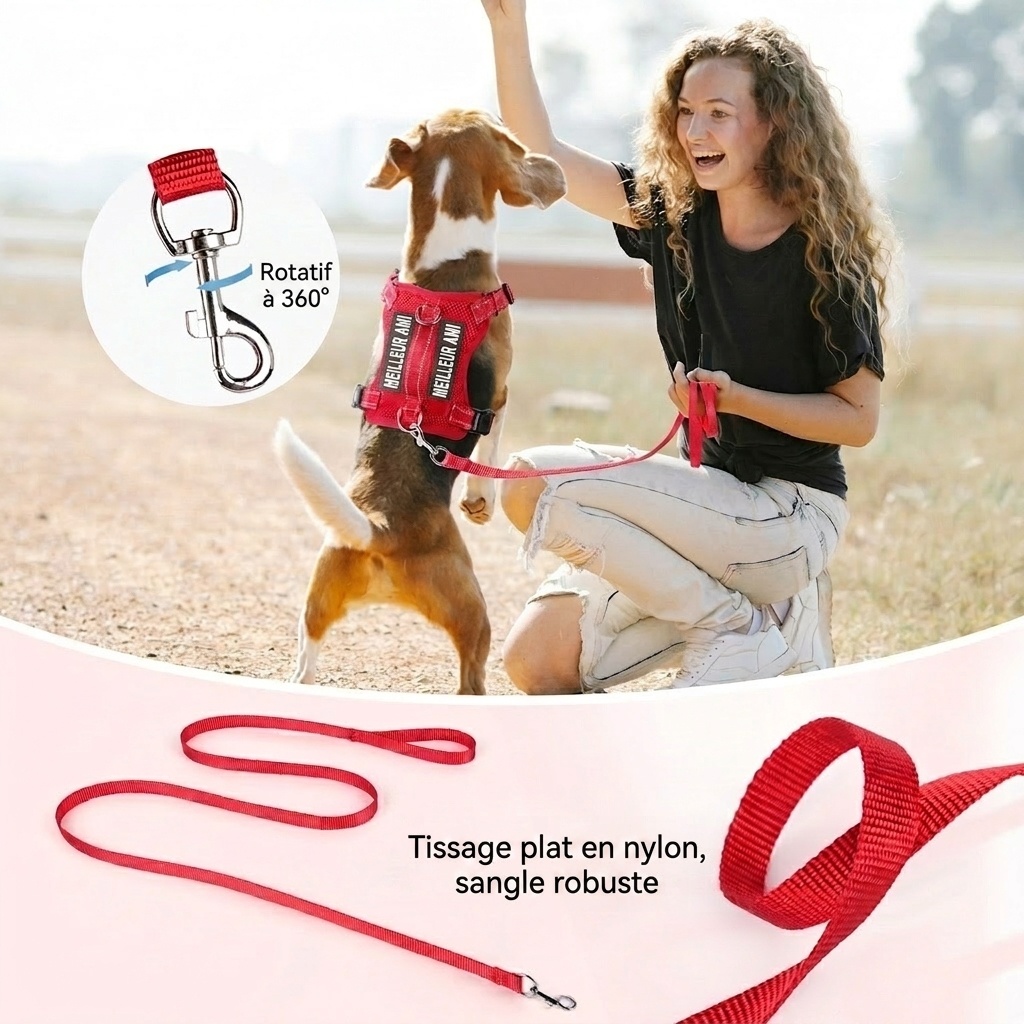 Lightweight Reflective Dog Harness & Leash Set - Breathable Mesh