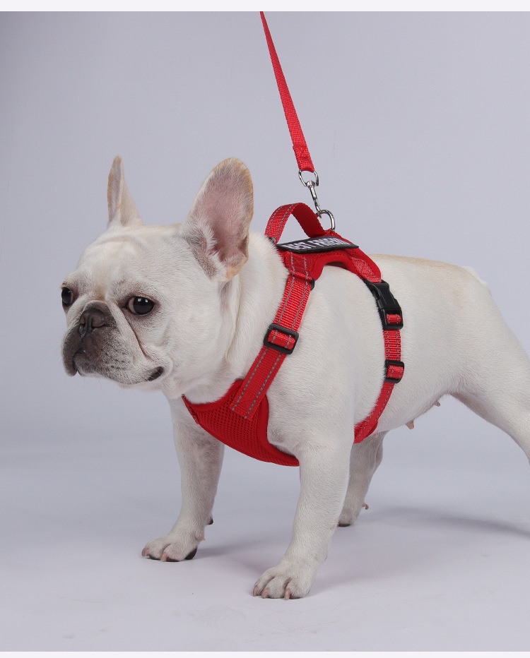 Lightweight Reflective Dog Harness & Leash Set - Breathable Mesh