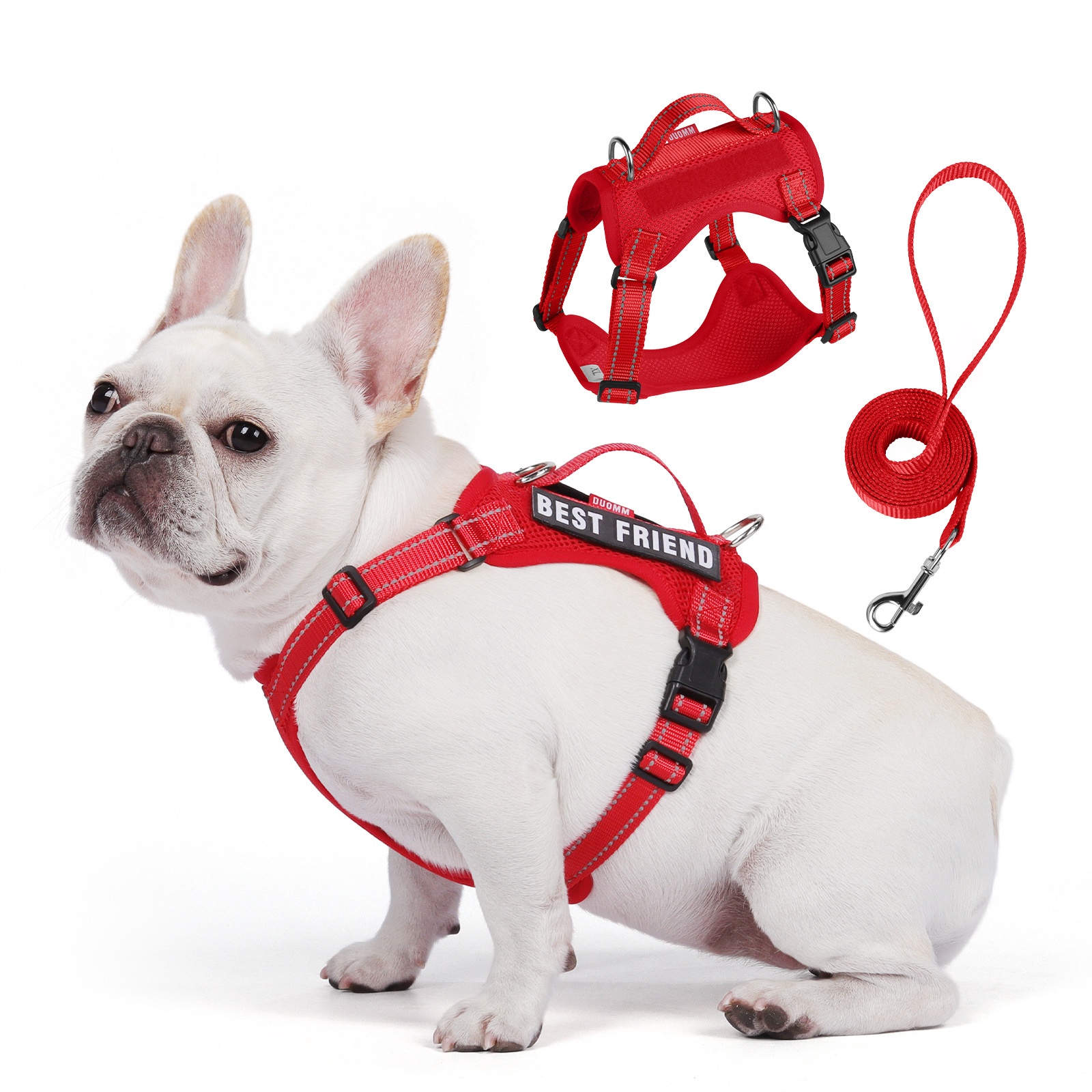 Lightweight Reflective Dog Harness & Leash Set - Breathable Mesh