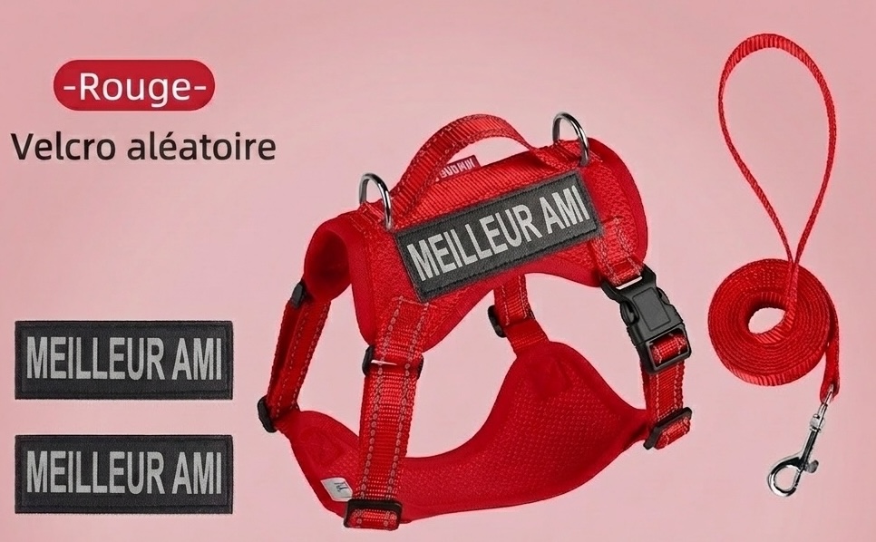 Lightweight Reflective Dog Harness & Leash Set - Breathable Mesh