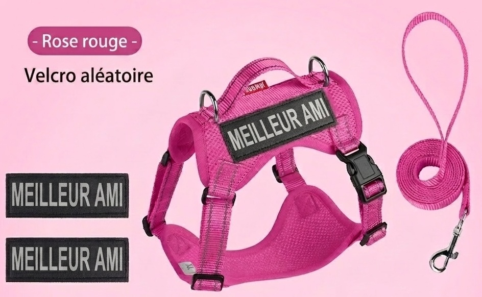 Lightweight Reflective Dog Harness & Leash Set - Breathable Mesh