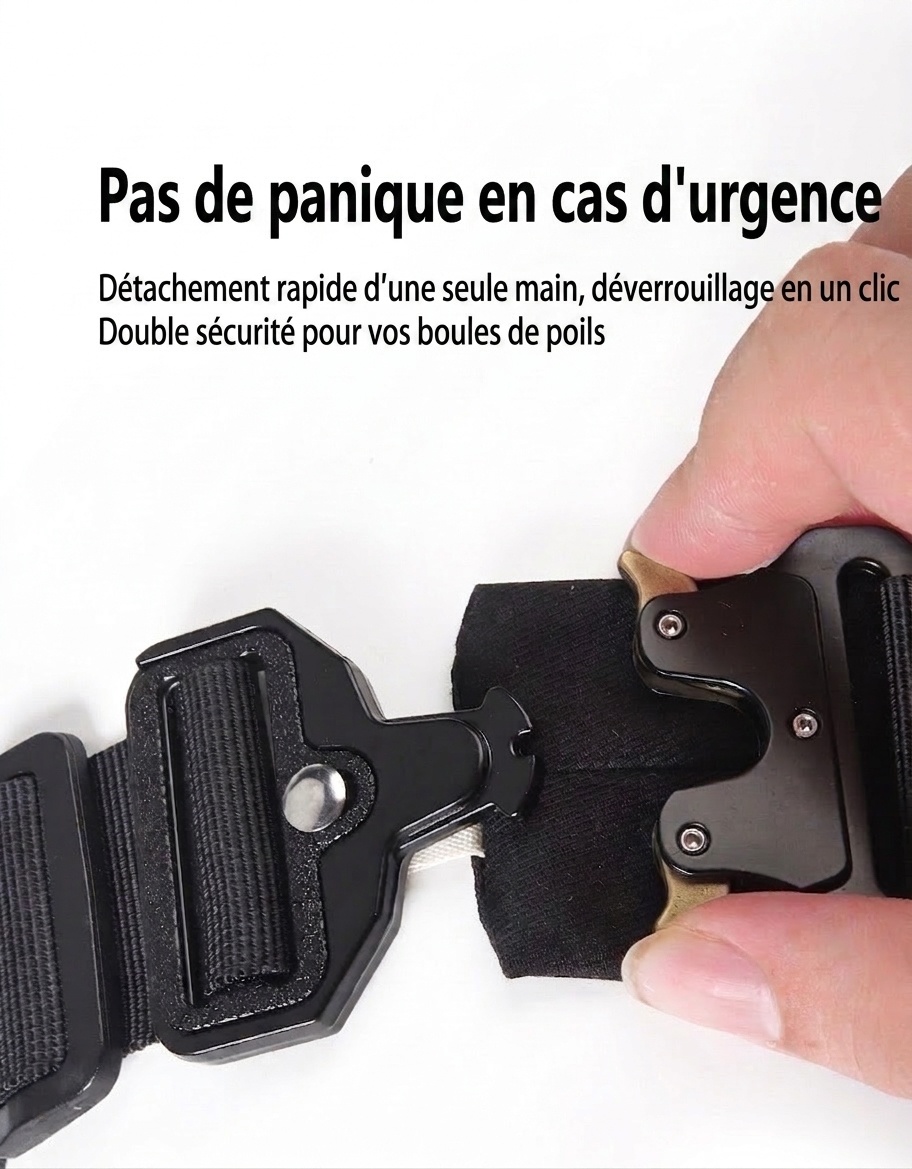 Collier tactique pour chien avec boucle Cobra et clous - Robuste