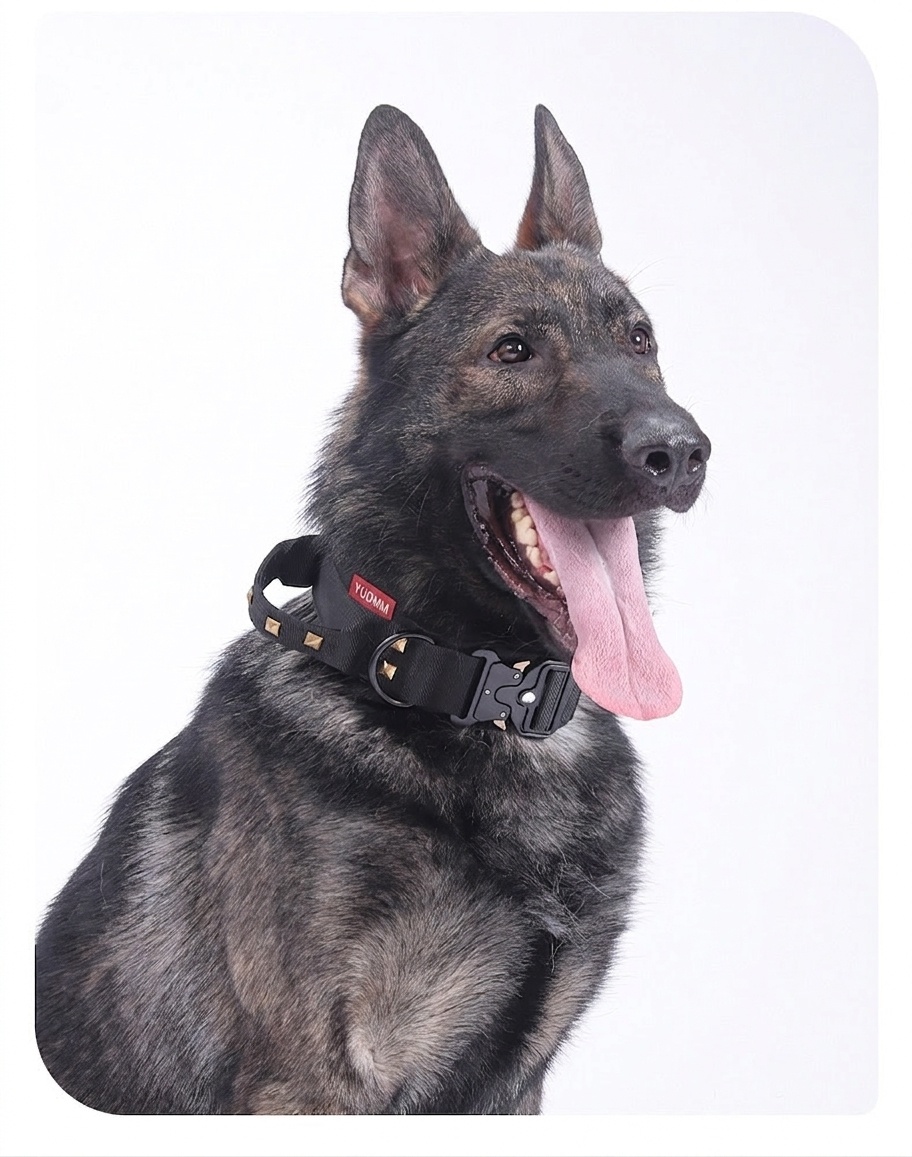 Tactical Dog Collar with Cobra Buckle & Studs - Heavy Duty